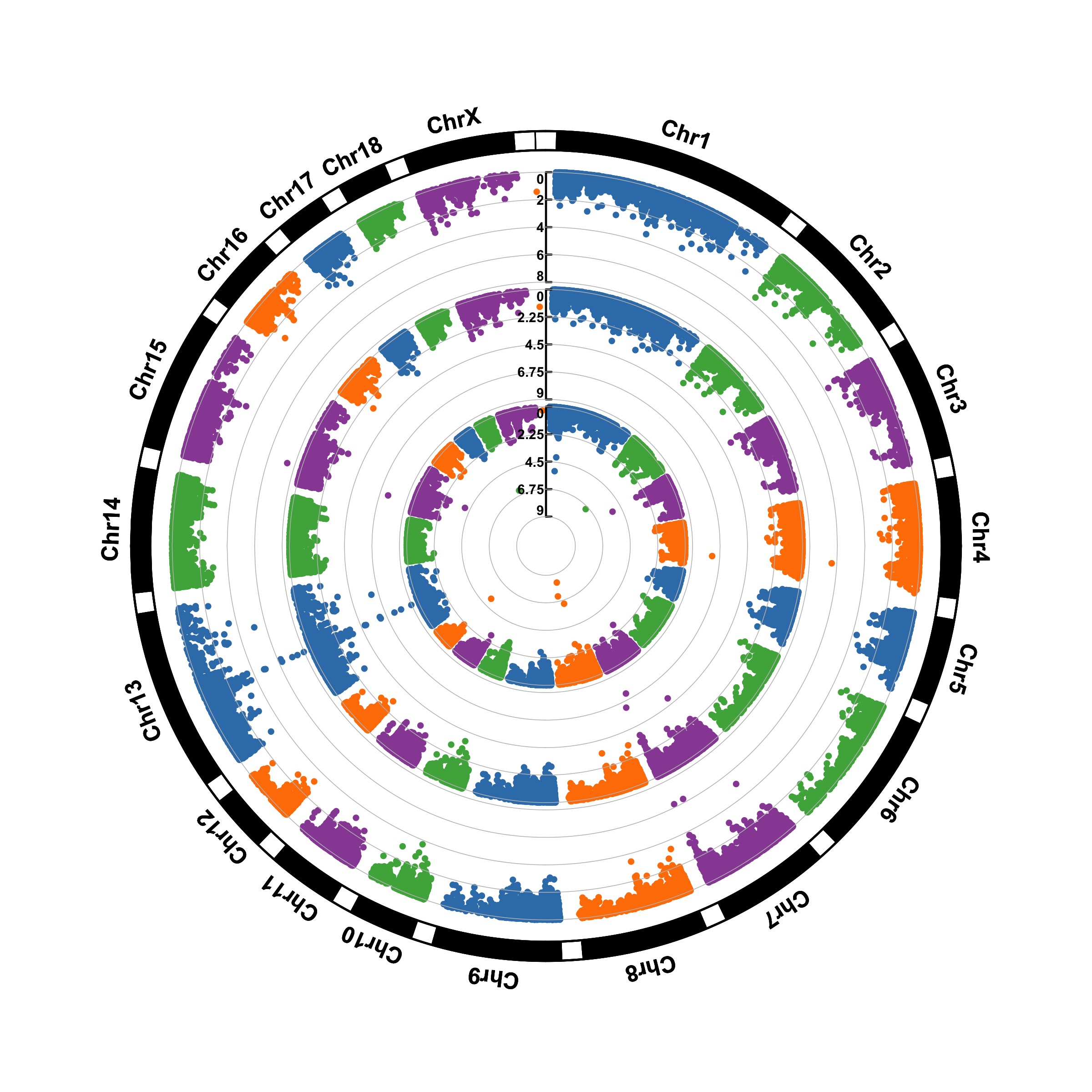 ggplot2 高度定制曼哈顿图